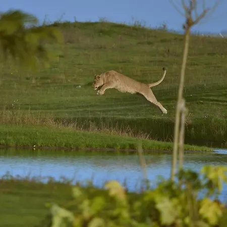 Le Royaume Des Lions Hotel 3*