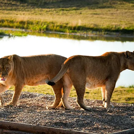 Hotel Le Royaume Des Lions 3*